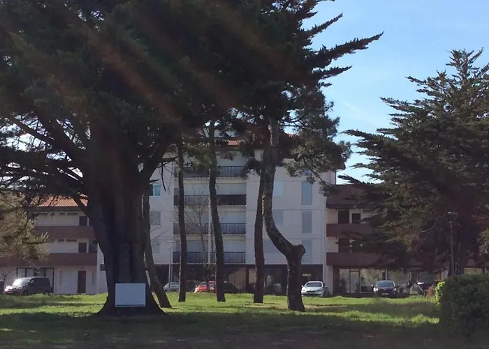 Apartmán La Foret 4 *